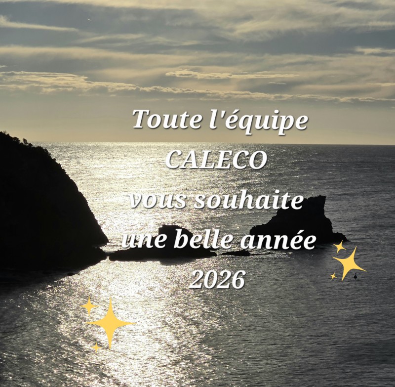 meilleurs voeux 2026 de la part de toute l équipe de Caleco